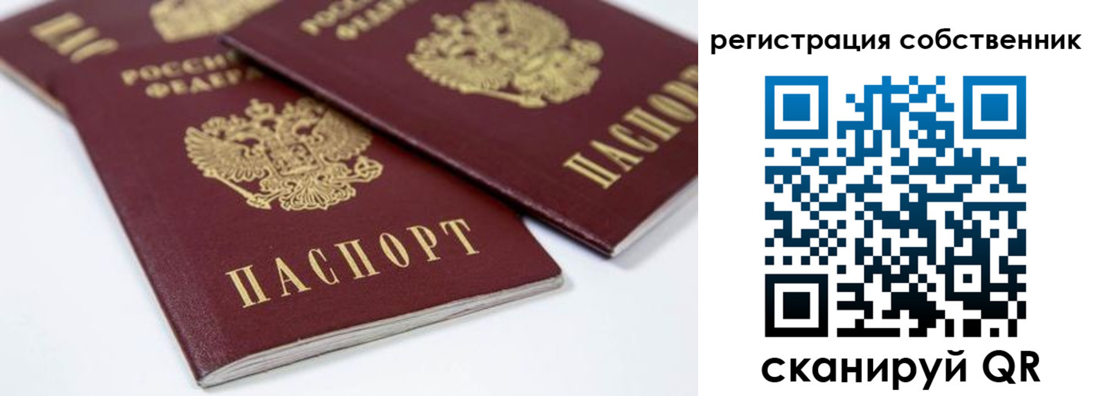 прописка для школы в Куровском